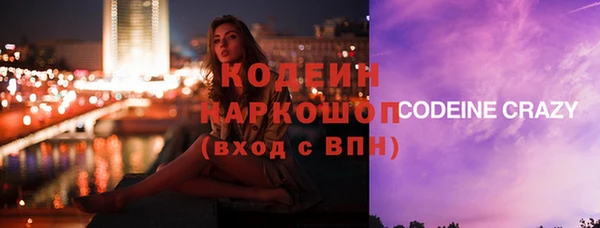 индика Абинск