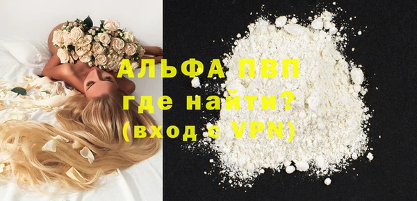 молекула духа Алексин