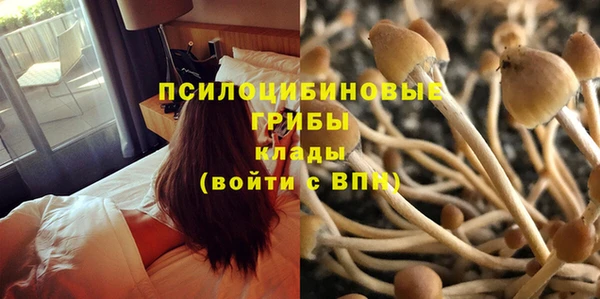 индика Абинск