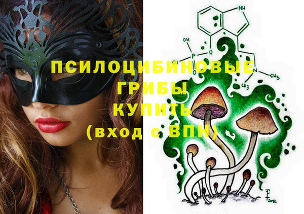 индика Абинск
