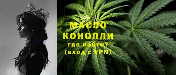 индика Абинск