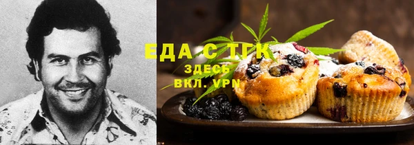 ECSTASY Алзамай