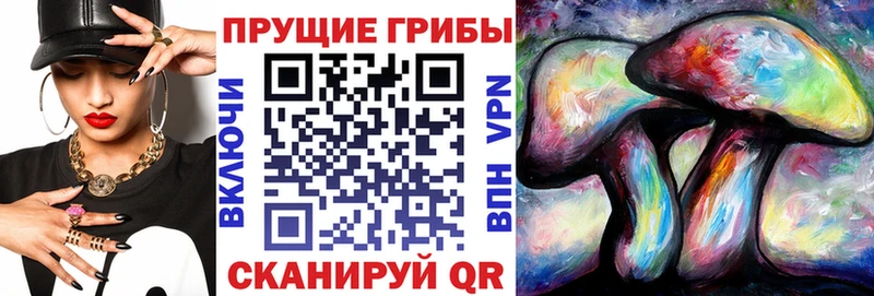 Псилоцибиновые грибы Cubensis наркота Лебедянь